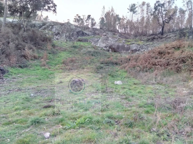 Terreno para Venda em Nevogilde Foto 2