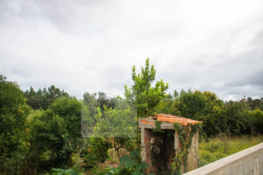 Terreno para Venda em Gandra Foto 3