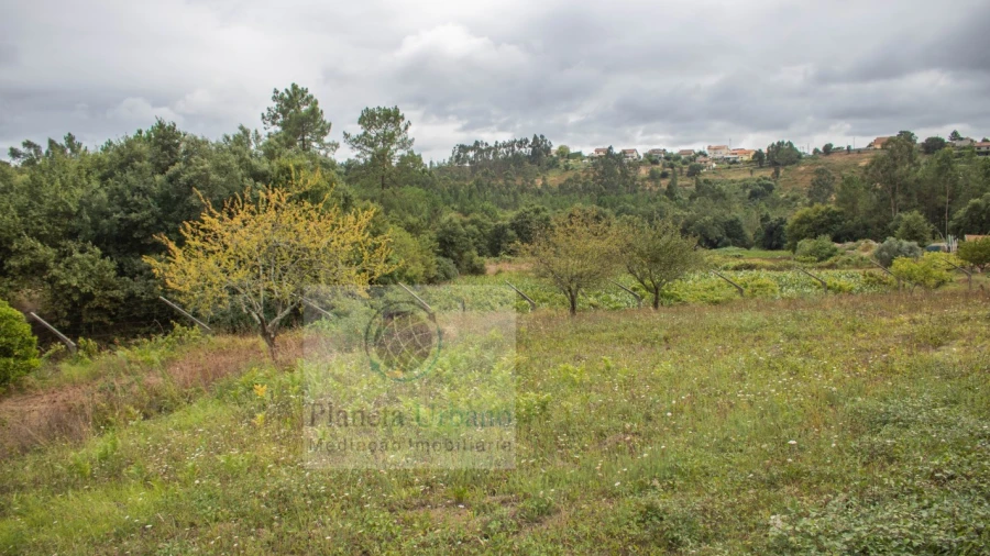 Terreno para Venda em Gandra
