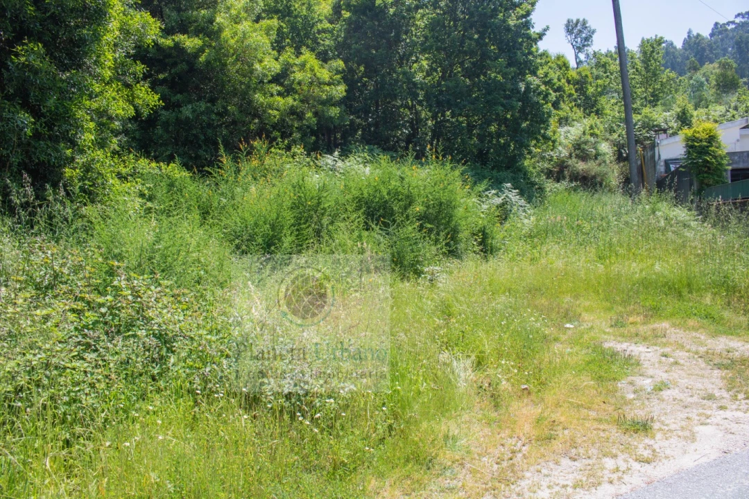 Terreno para Venda em Paço de Sousa Foto 3