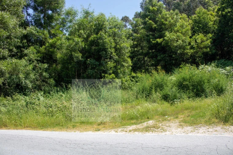 Terreno para Venda em Paço de Sousa Foto 2