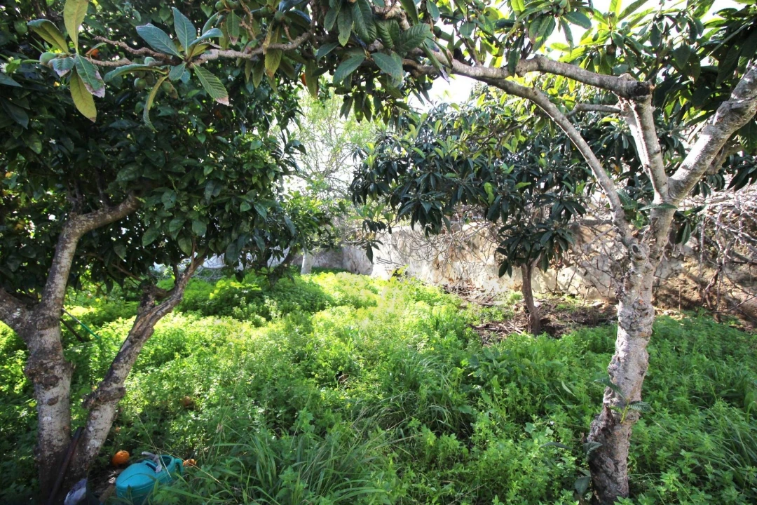 Moradia T3 para Venda em Estômbar e Parchal Foto 17