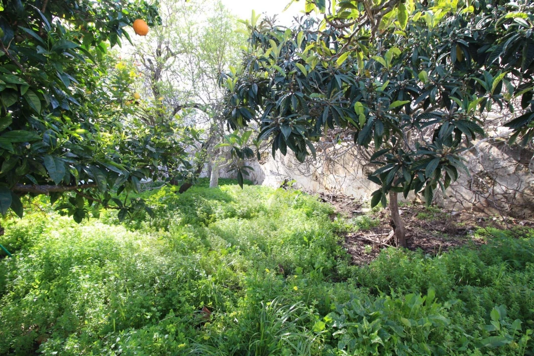 Moradia T3 para Venda em Estômbar e Parchal Foto 15