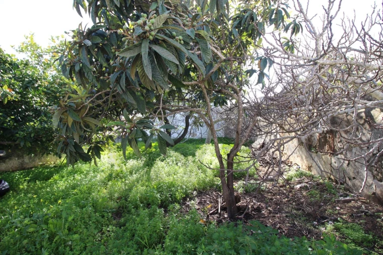 Moradia T3 para Venda em Estômbar e Parchal Foto 18