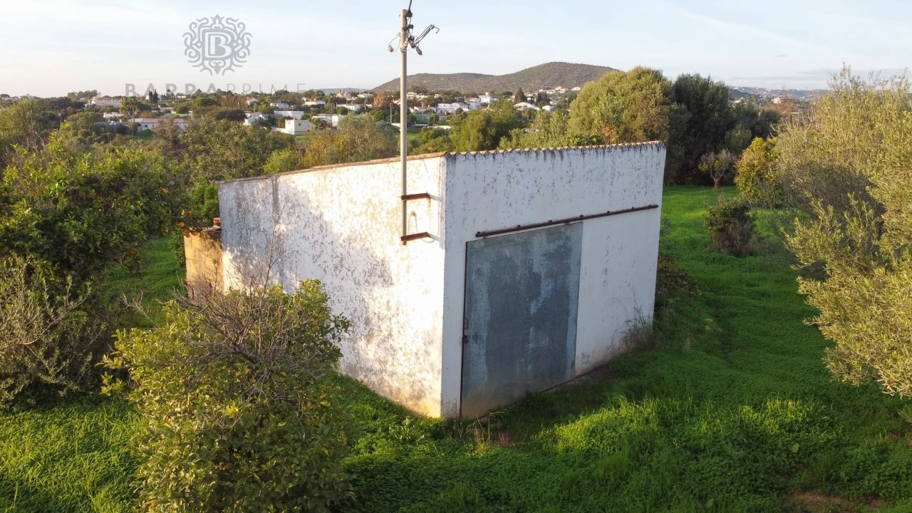 Terreno para Venda em Almancil Foto 13