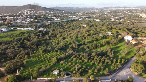 Terreno para Venda em Almancil