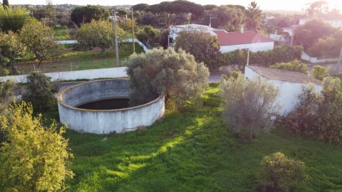 Terreno para Venda em Almancil
