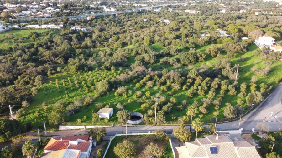 Terreno para Venda em Almancil Foto 2