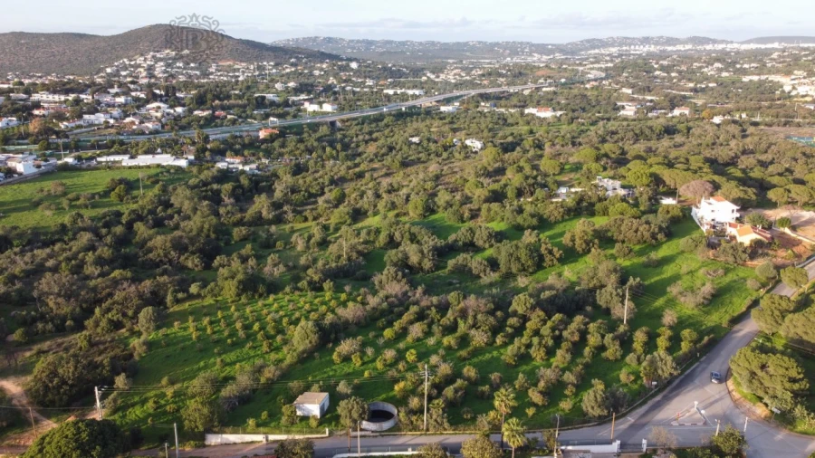 Terreno para Venda em Almancil Foto 3