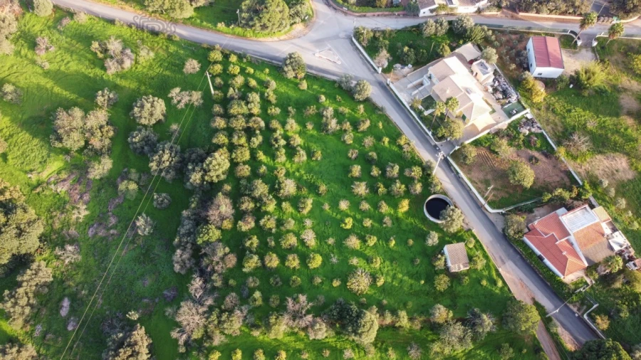 Terreno para Venda em Almancil Foto 4