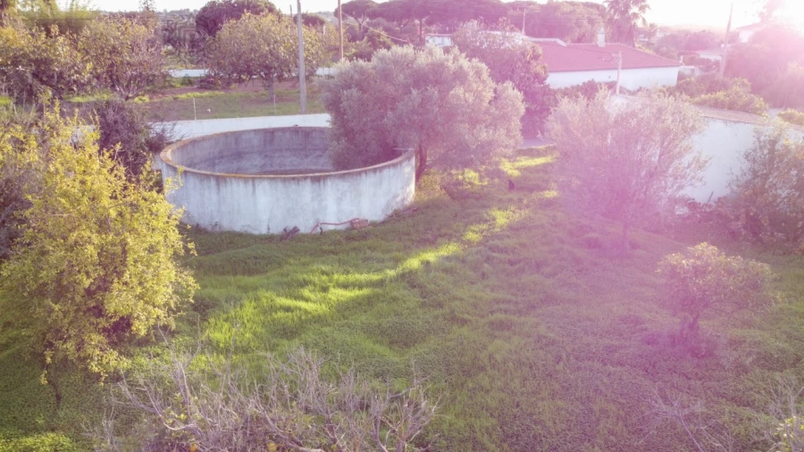 Terreno para Venda em Almancil Foto 8