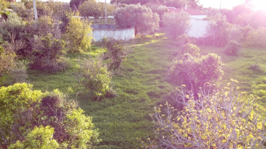 Terreno para Venda em Almancil Foto 9