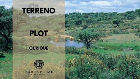 Terreno para Venda em Ourique