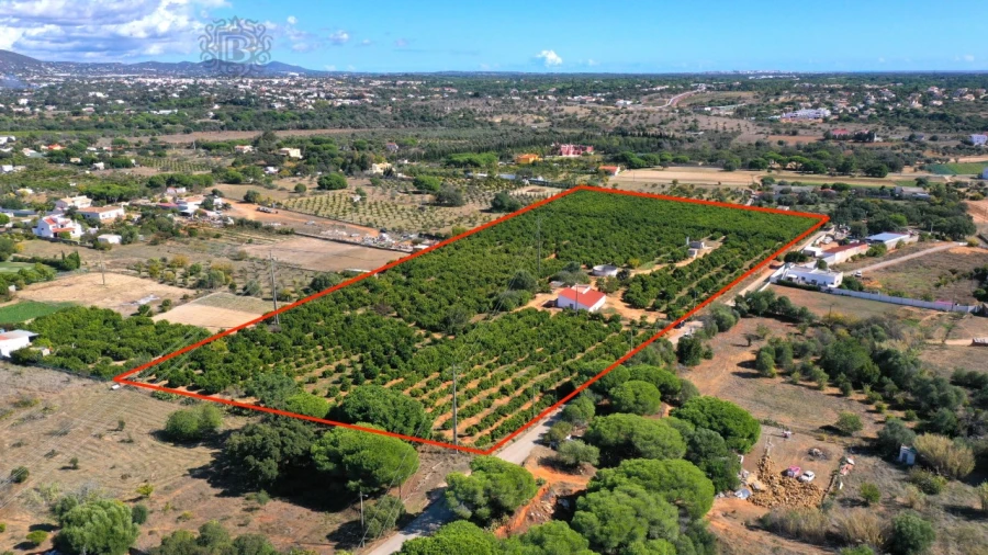 Terreno para Venda em Quarteira