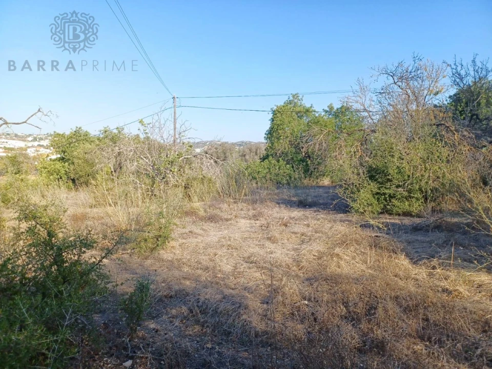 Terreno para Venda em Boliqueime Foto 1