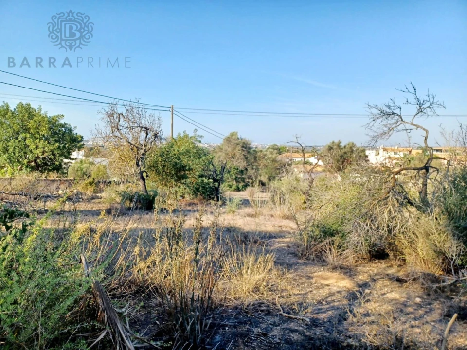 Terreno para Venda em Boliqueime Foto 3