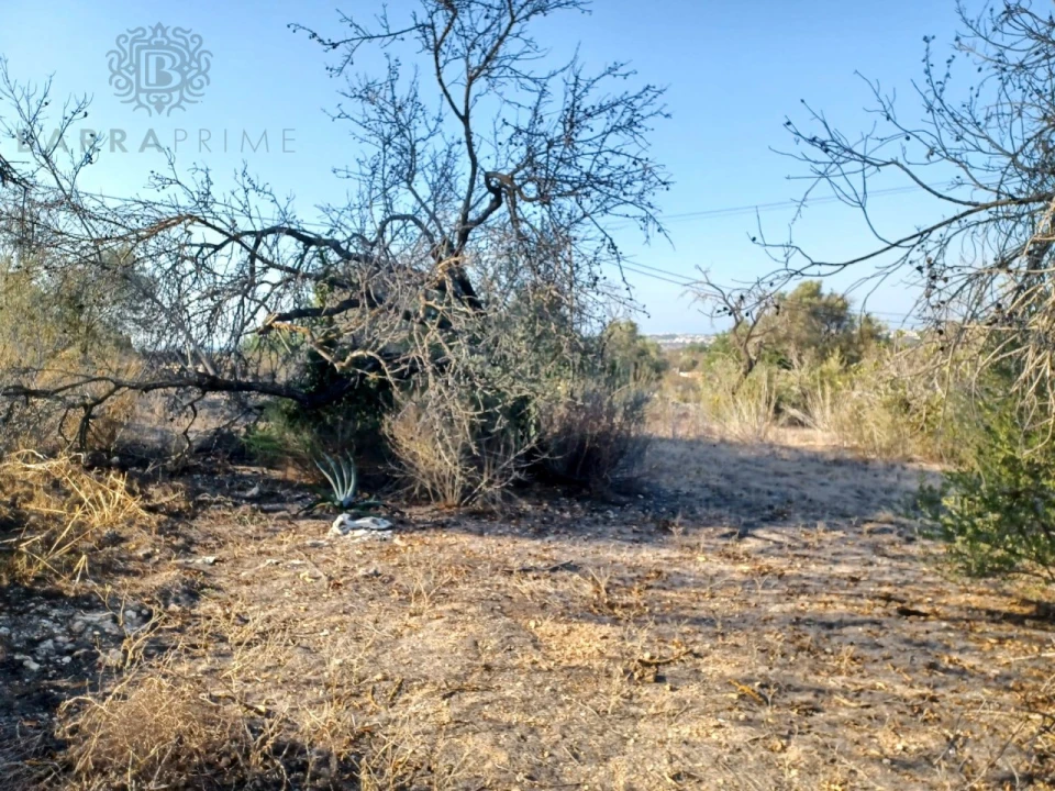 Terreno para Venda em Boliqueime Foto 4