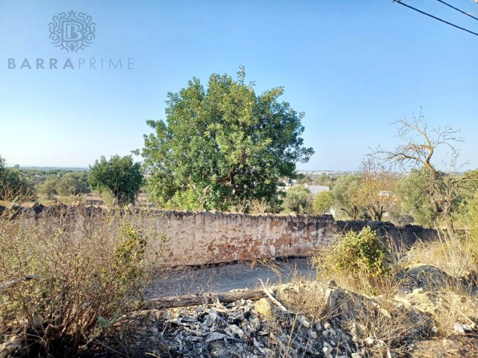 Terreno para Venda em Boliqueime Foto 5