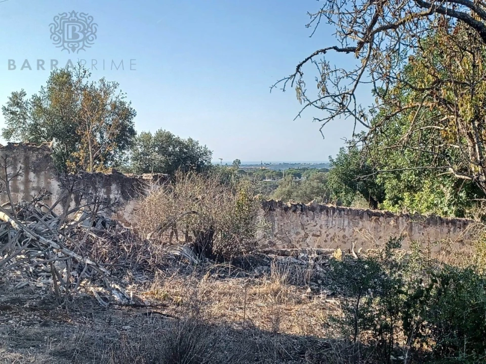 Terreno para Venda em Boliqueime Foto 7