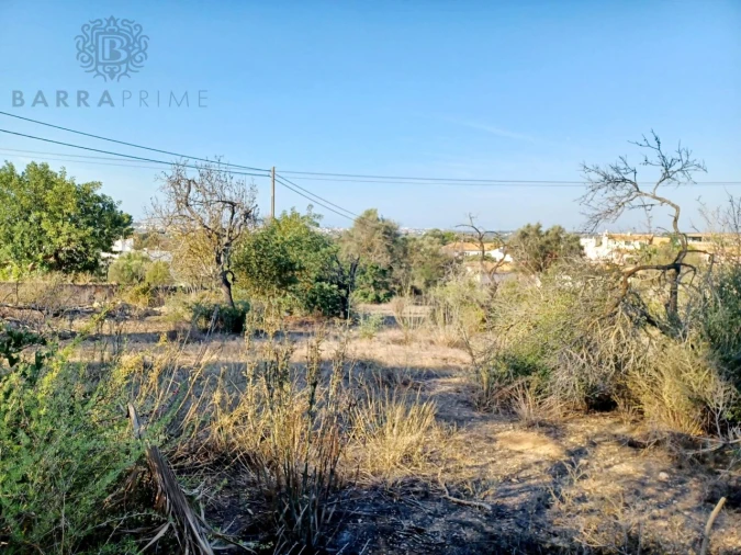Terreno para Venda em Boliqueime Foto 3