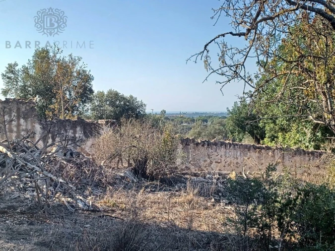 Terreno para Venda em Boliqueime Foto 7