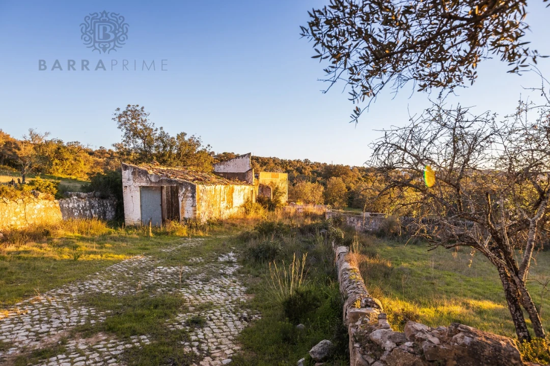 Terreno para Venda em Santa Barbara de Nexe Foto 4