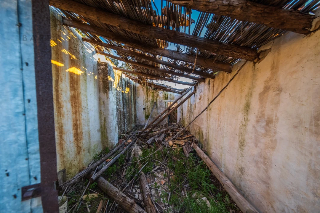 Terreno para Venda em Santa Barbara de Nexe Foto 5