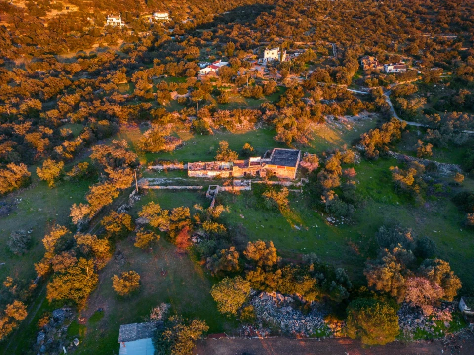 Terreno para Venda em Santa Barbara de Nexe Foto 15