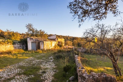 Terreno para Venda em Santa Barbara de Nexe