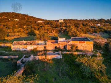 Terreno para Venda em Santa Barbara de Nexe