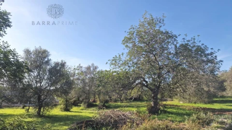 Terreno para Venda em São Brás de Alportel