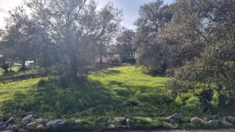 Terreno para Venda em São Brás de Alportel