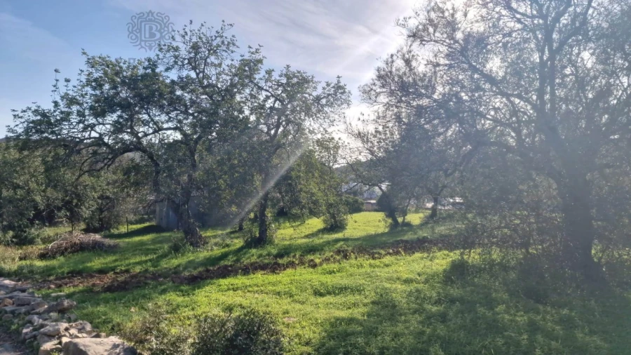 Terreno para Venda em São Brás de Alportel Foto 4
