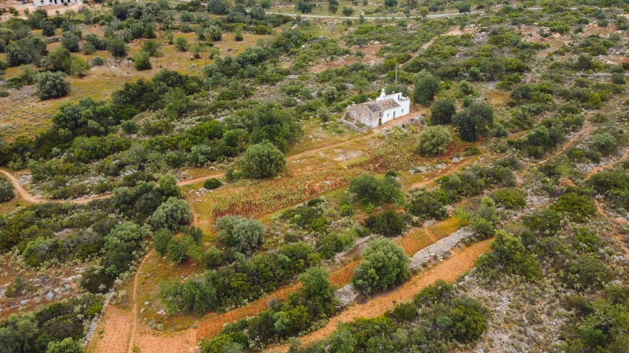 Terreno para Venda em Conceição e Estoi Foto 4