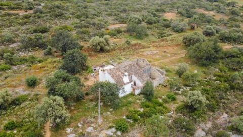 Terreno para Venda em Conceição e Estoi
