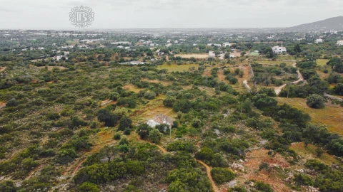 Terreno para Venda em Conceição e Estoi