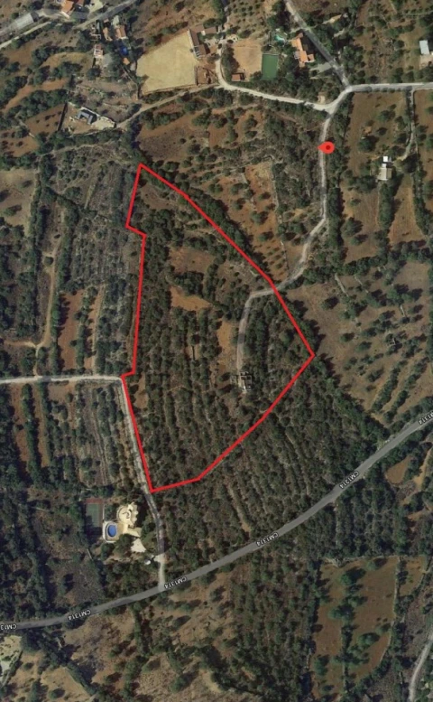 Terreno para Venda em Conceição e Estoi