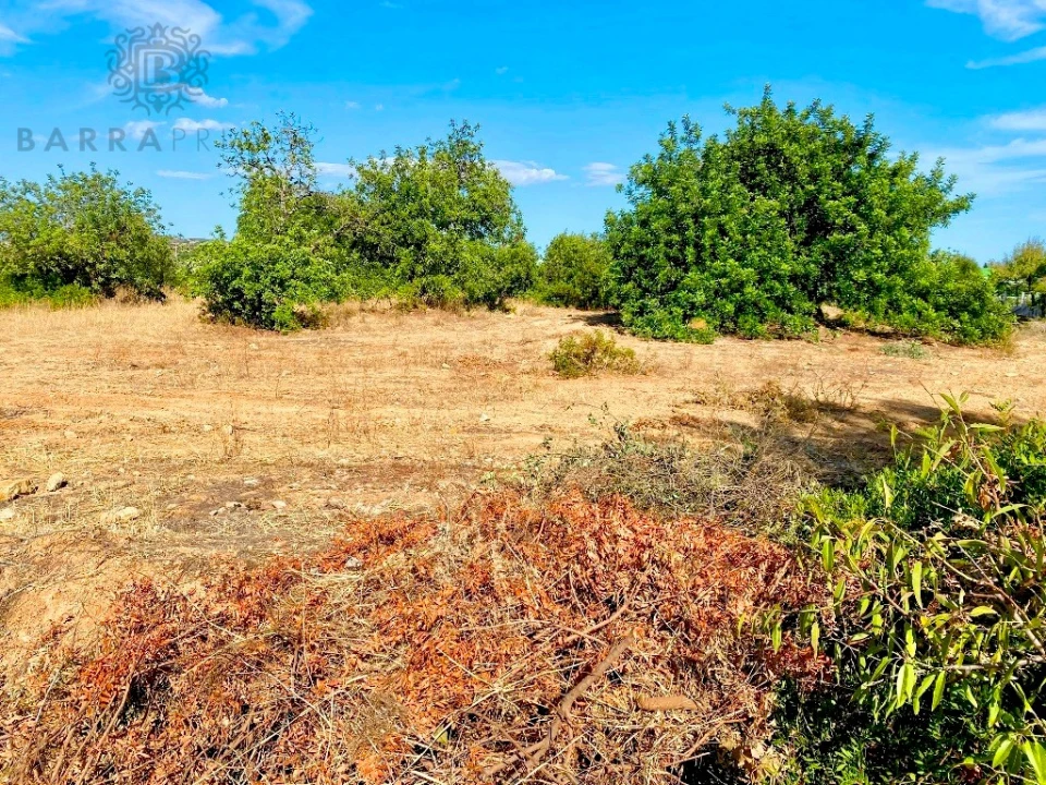 Terreno para Venda em Almancil Foto 3