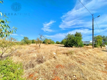 Terreno para Venda em Almancil