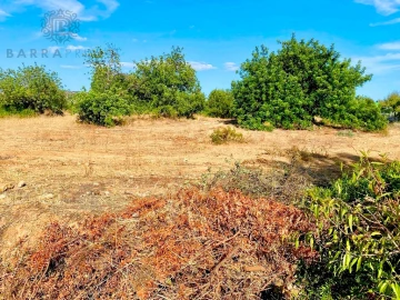 Terreno para Venda em Almancil