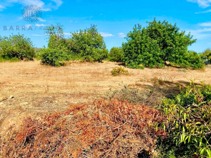 Terreno para Venda em Almancil Foto 3