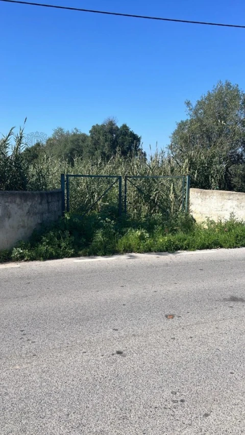 Terreno para Venda em Faro (Sé e São Pedro)
