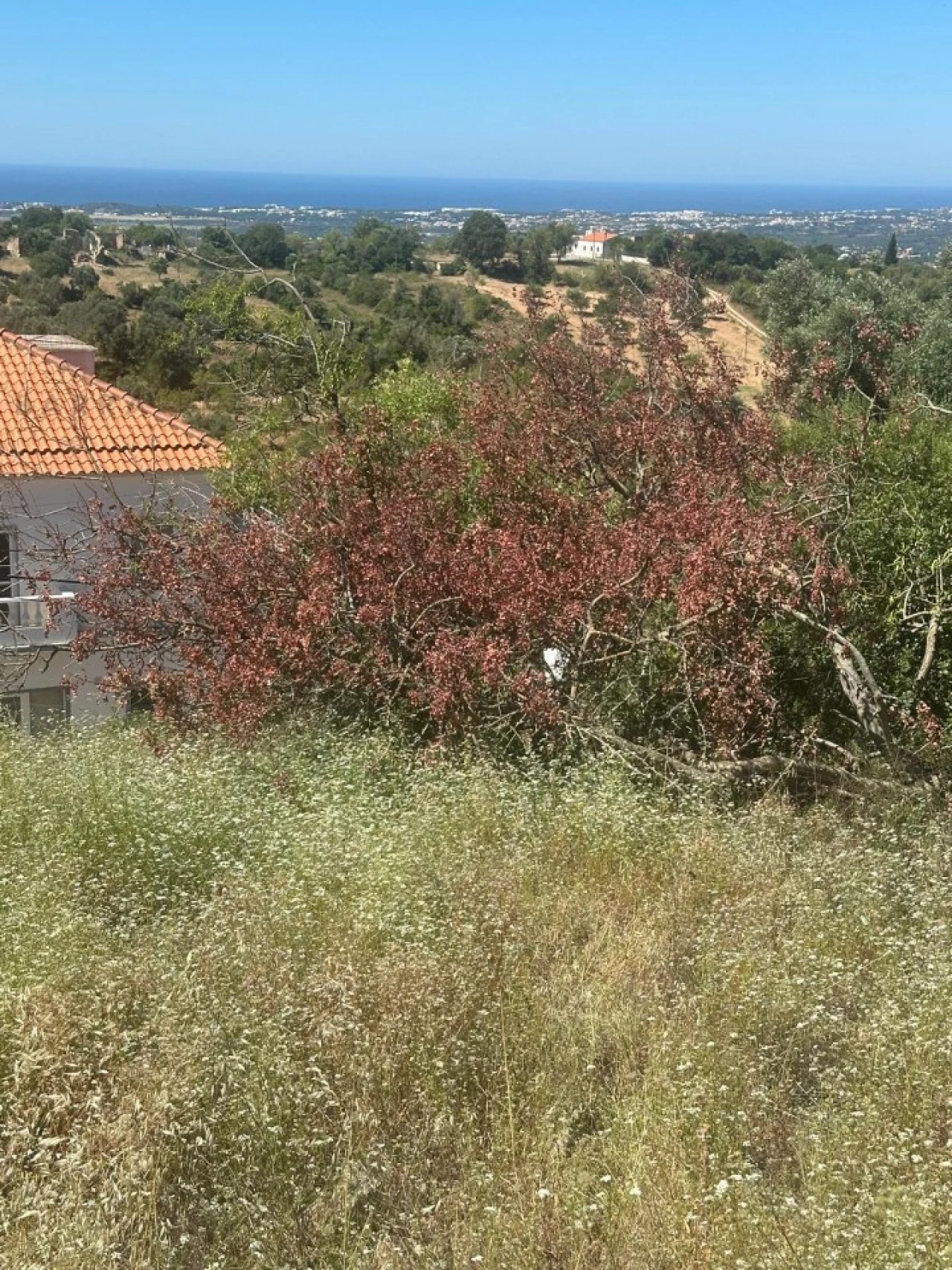 Terreno para Venda em Boliqueime Foto 13