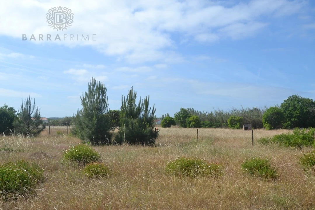 Terreno para Venda em Loule (São Clemente) Foto 1