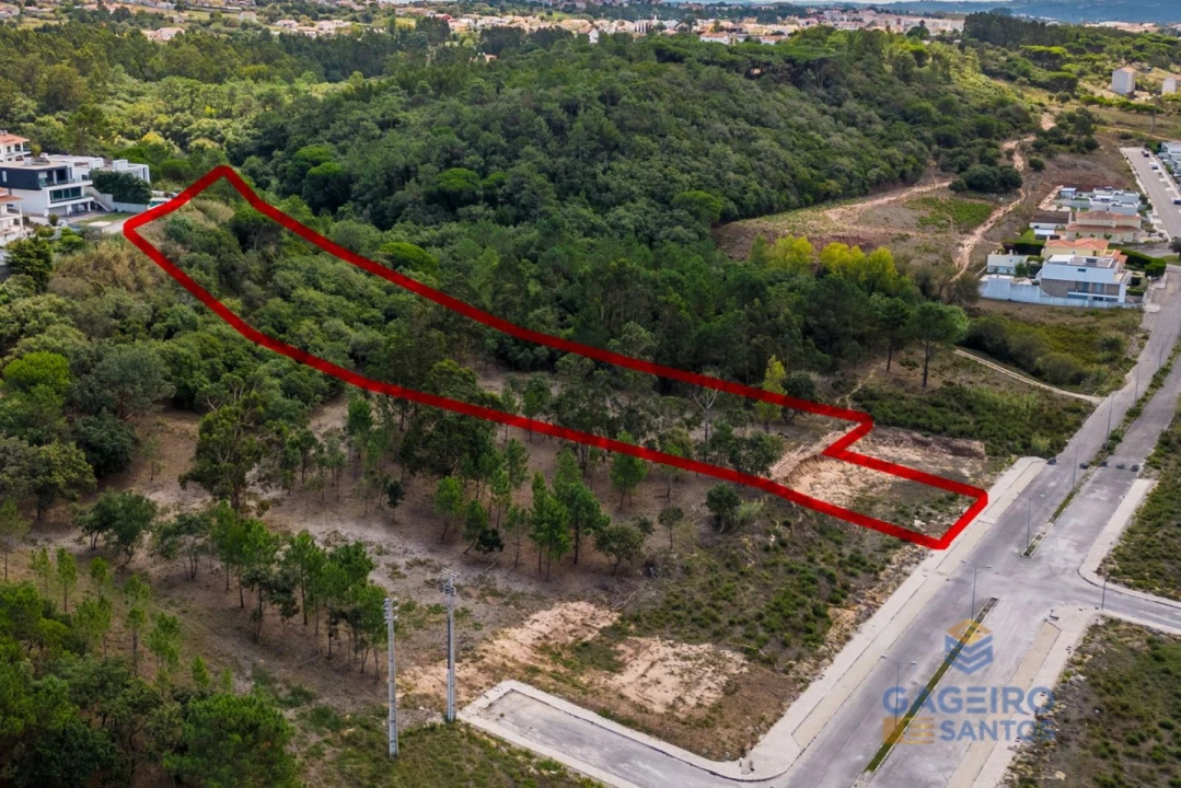 Terreno para Venda em Tornada e Salir do Porto Foto 1