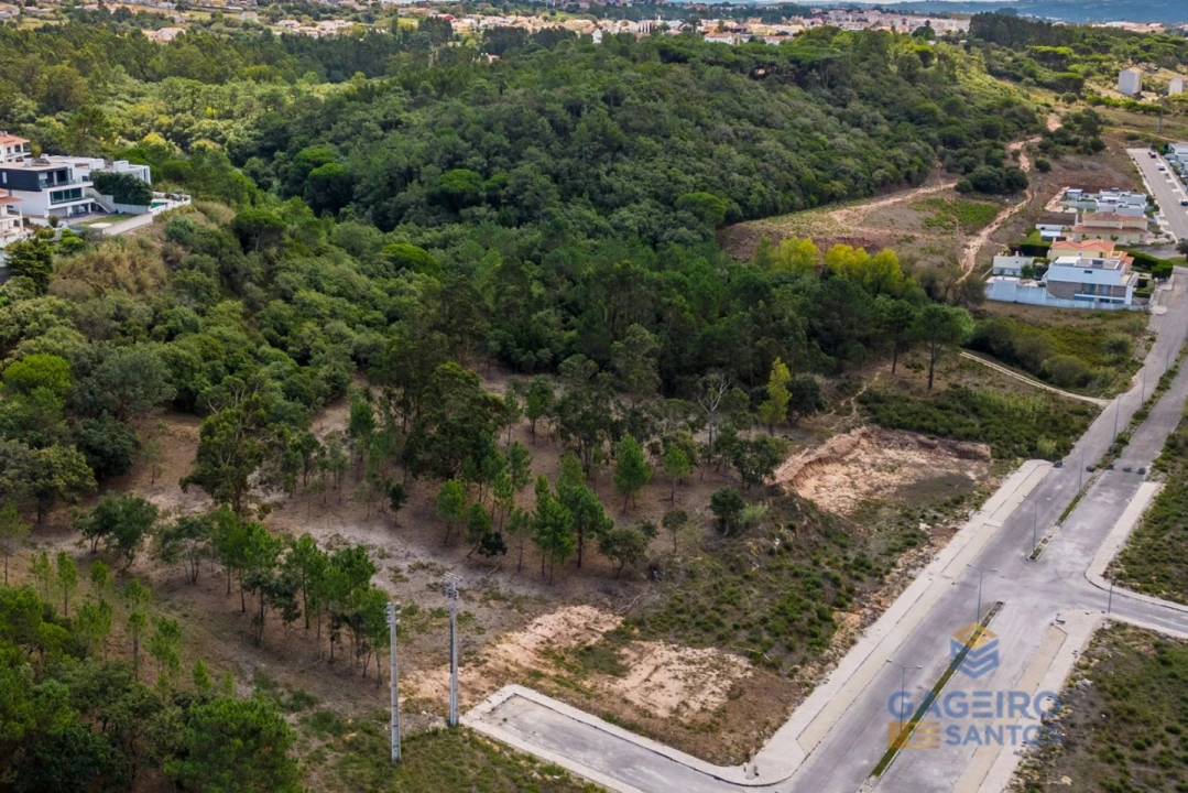Terreno para Venda em Tornada e Salir do Porto Foto 14