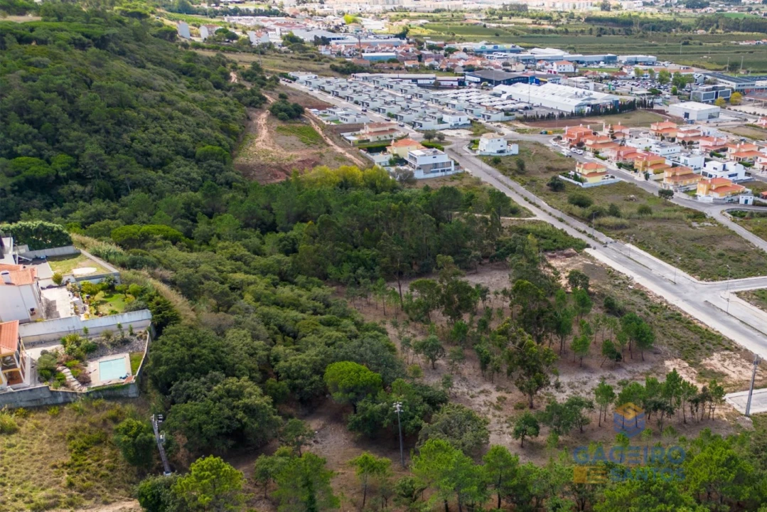 Terreno para Venda em Tornada e Salir do Porto Foto 15