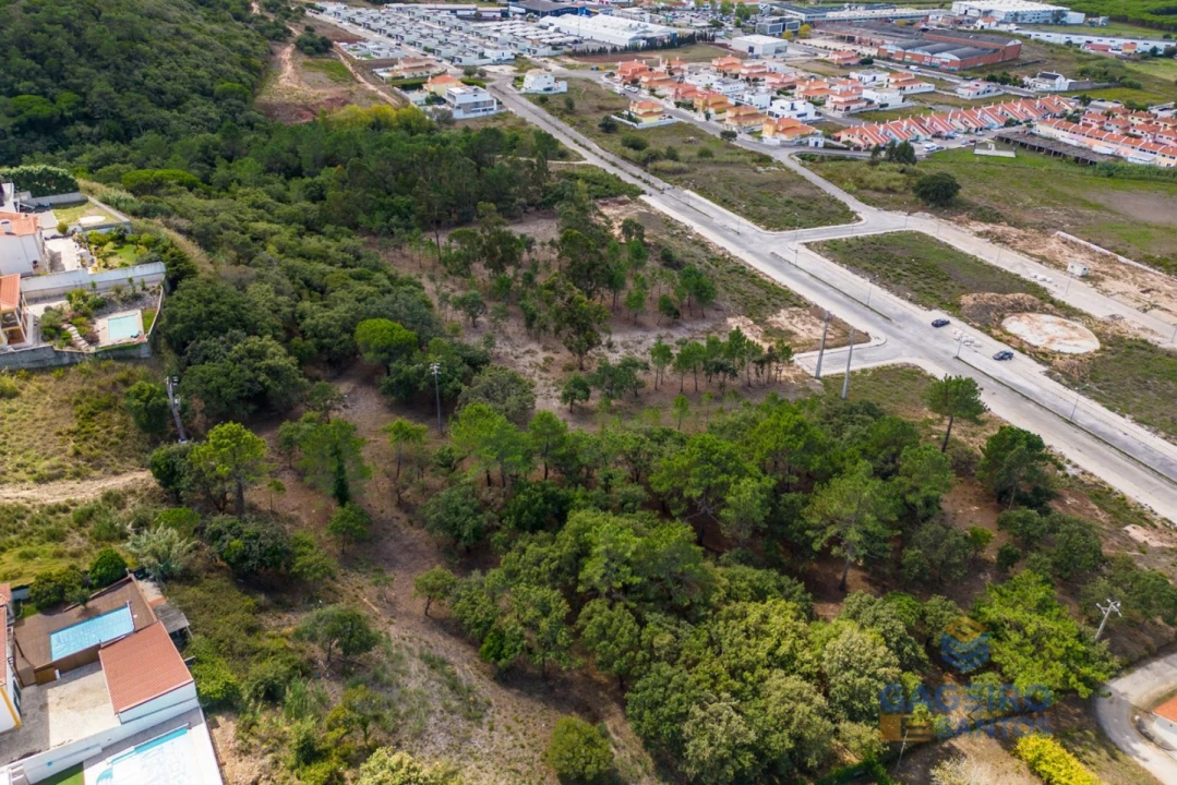 Terreno para Venda em Tornada e Salir do Porto Foto 20