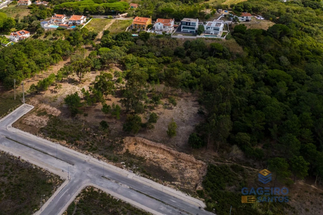 Terreno para Venda em Tornada e Salir do Porto Foto 23