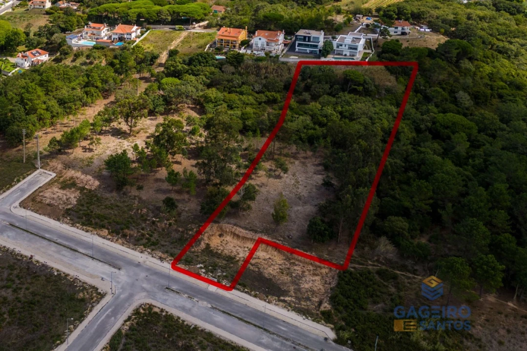 Terreno para Venda em Tornada e Salir do Porto Foto 4